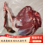 鹿腿白条鲜肉批发整只包装鹿腿肉东北吉林鹿乡鲜鹿肉肉质鲜嫩现货
