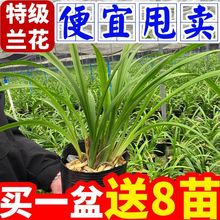 �������m��ޥ�m�����_�M���҃Ⱥ��B�׻�Gֲ���������ļ�����