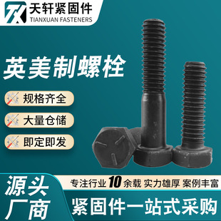 ����Ӣ�����弉�������ݽz������˨ANSI/ASME B18.2.1