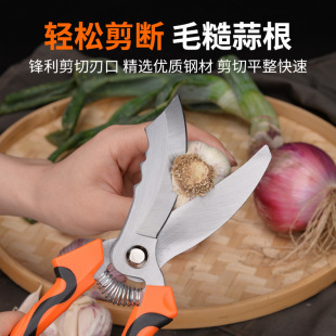 Wholesale Agricultural Tools Garlic Scissors Manufacturer 65 Manganese Steel Whitehead Scissors Onion Garlic Seedlings Root Stem Big Head Garlic Scissors