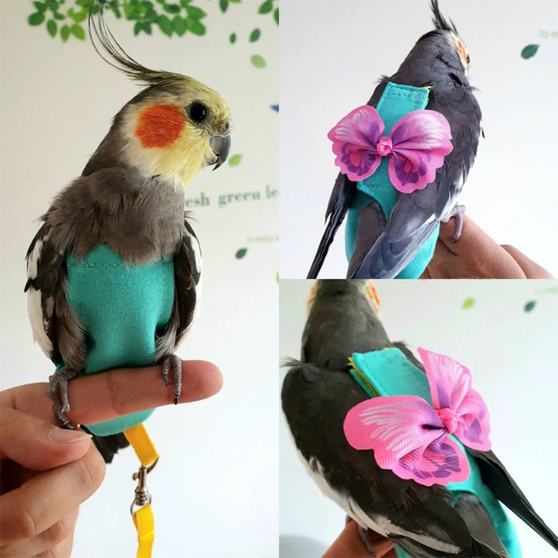 [Small wholesale] parrot clothing traction rope pet bird vest diaper shit pants pigeon flight suit