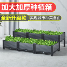 种菜专用箱种菜箱家用蔬菜种植箱阳台户外庭院屋顶用特大加厚款