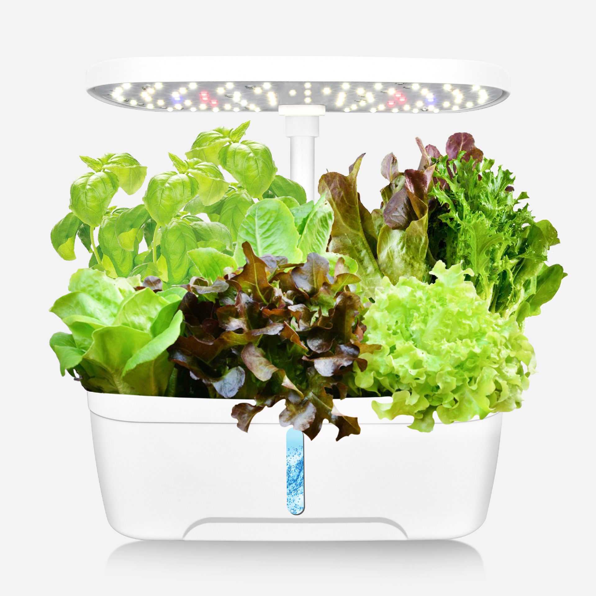 Amazon prefiere la caja de verduras perezosa, la máquina de plantación hidropónica inteligente, la luz de relleno para el hogar, la luz del sol, la lámpara de crecimiento de la planta