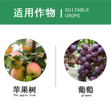 Guoguangsheng и нафтальениковая кислота увеличивает выживаемость Регулятор роста корня корневого корня пестицида 2,5 г