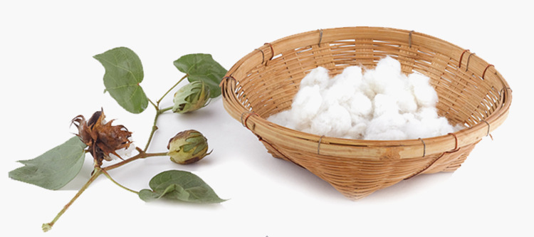 化妆卸妆清洁两用棉签,一次性圆头耳勺棉签,双头木棒,掏耳,盒装棉签