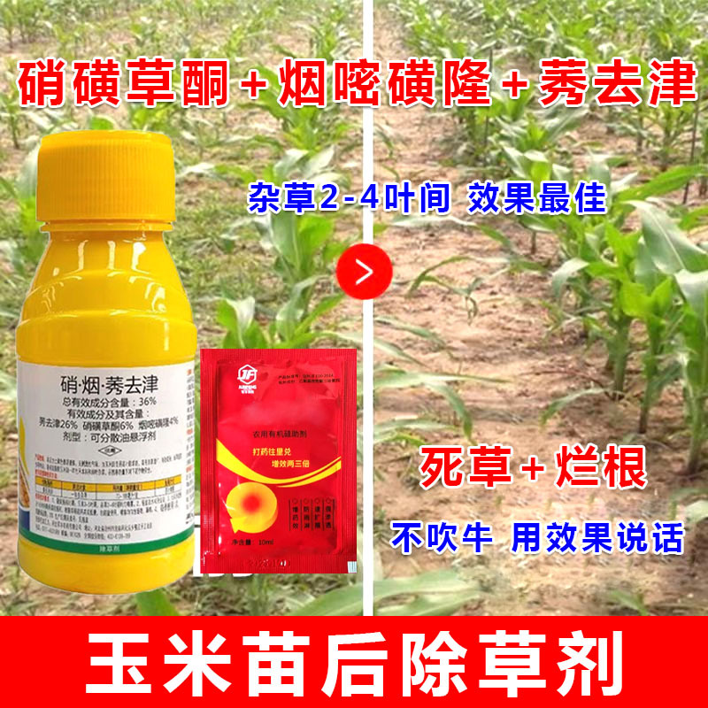 硝烟莠去津36%高含量玉米苗后专用除草剂连根烂玉米田除草剂正品