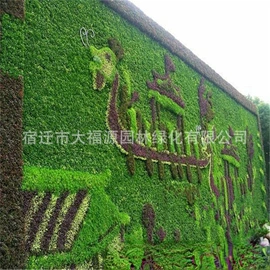 其他园林植物;水生植物;灌木