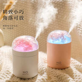 跨境现货新款永生花加湿器 USB桌面办公室卧室补水雾化器礼品批发