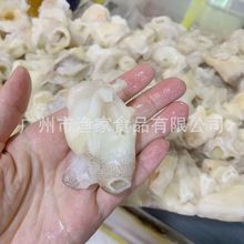 ������~��20��/���ك����~�����~�i���~���\��Ŀ�~����ը С���r