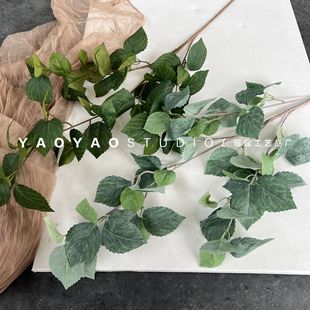 ��֦�ع��~ �zӡ������ֲ�����~�Ә��~�Ĕz���� �҃��bӰ巿