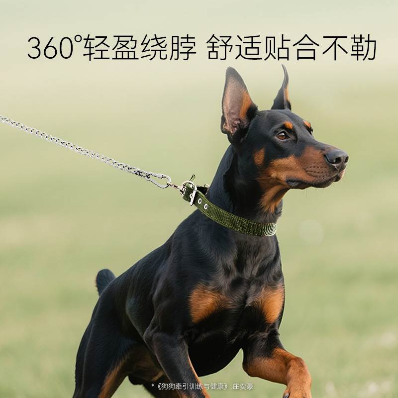 Perros transfronterizos Perros medianos y grandes Cadena de acero inoxidable Cuerda de tracción Cuerda de hierro para perros Collar ajustable Cuerda para perros