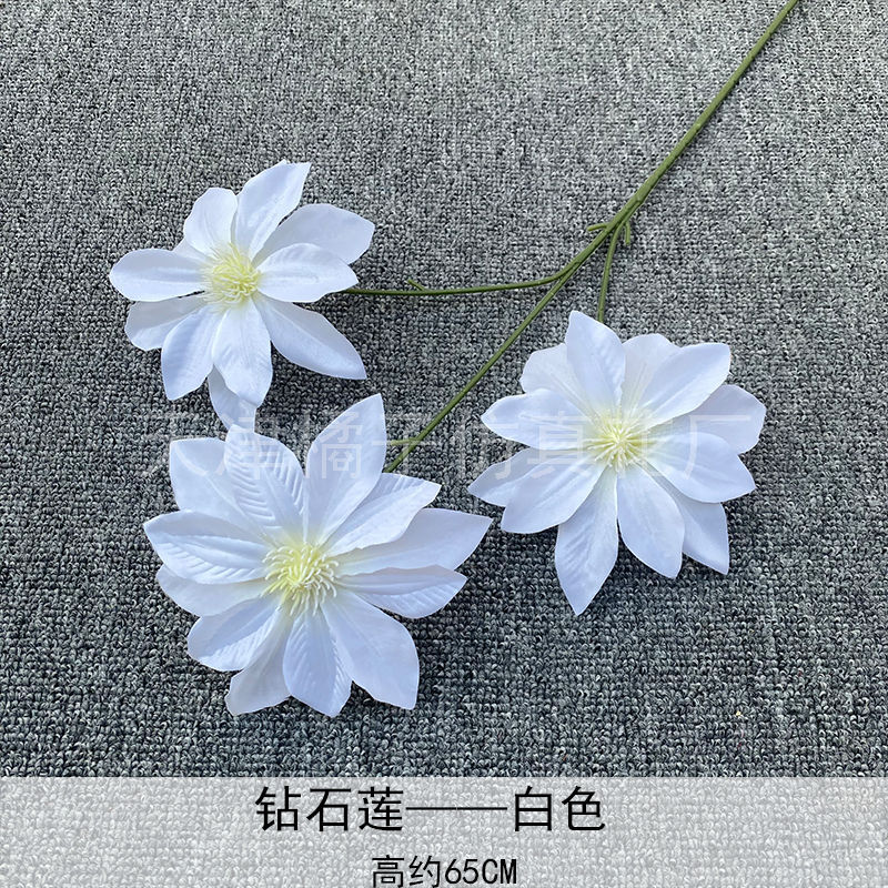 Flores de boda de alta calidad de flores de madera verde de bambú y lirio de pino masson de alta calidad