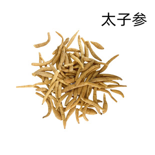 ̫�Ӆ���؛ɢ�b �o���Ӆ�̫�Ӆ�500�ˏS��ֱ������r���r�aƷ