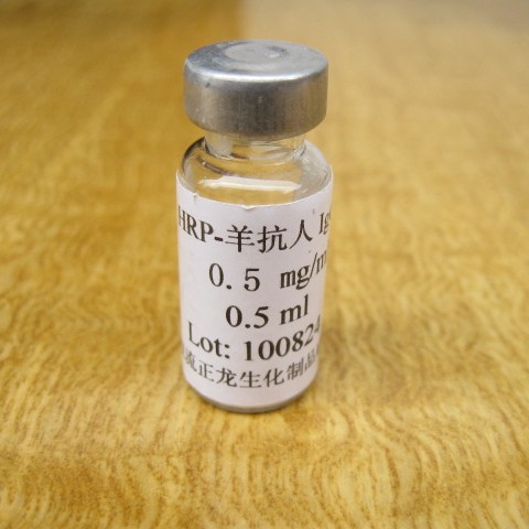 HRP-����IgG����-1ML