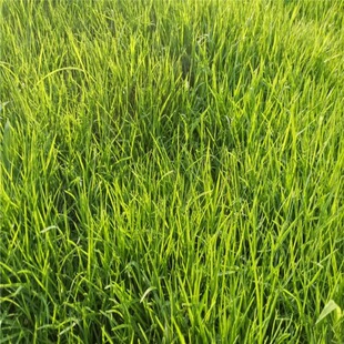 ƺ�N��̨�����X�G���o�����ļ������ͺ��ͺ�ͣ܇ƺ�����