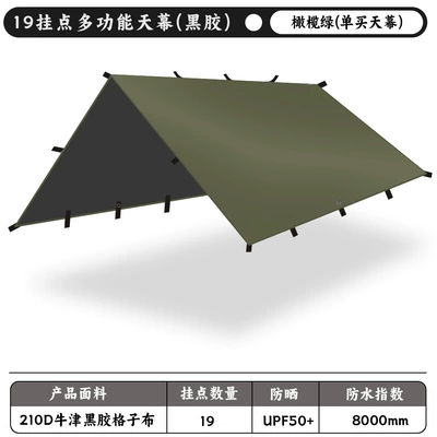 Avtomobil yan çətirləri – Square Vinyl Canopy Cloth - olive-green-vinyl-canopy-outer-bag-33