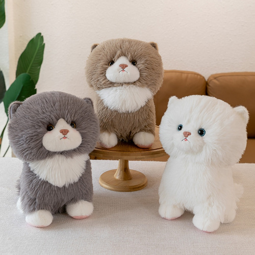 Cute simulation cat doll doll kitten budo plush toy scratch machine doll girl pillow gift wholesale