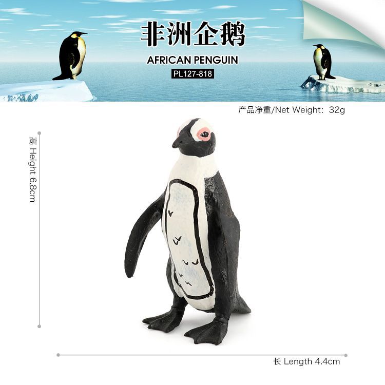 PL127-818非洲企鹅