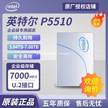 ���� Ӣ�ض� P5510ϵ�� 3.84TB/7.68TB  ��ҵ����̬Ӳ�� U.2 �ӿ�