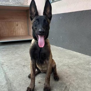 �RȮ��Ȯ���N�RȮ���w���t�����r�RȮ�CȮ܊Ȯ��Ȯ������Ȯ���ﹷ