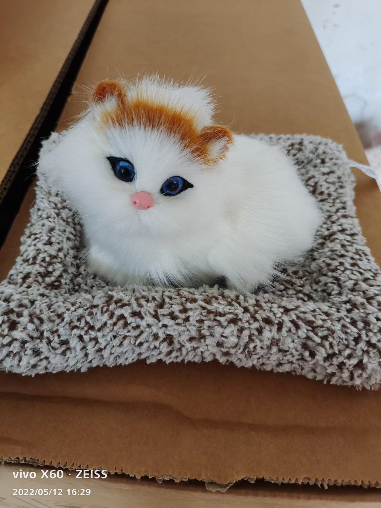 누워있는 고양이 9는 울 수 있다