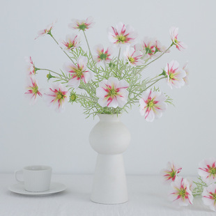 ����ֲ�q�ָ��zƬ��˹��СҰ�ռٻ��Ҿӻ�c�b[���߼��з��滨