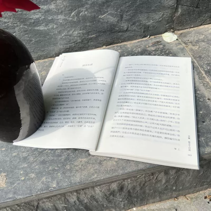 Книжный магазин Wormhole: 74 письма подросткам. Полный сборник оценочных сочинений — книга образцов тем для сочинений, подготовка к вступительным экзаменам в вуз