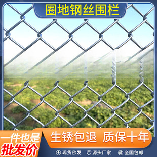 Hot-Dip Galvanized Wire Mesh Fence for Outdoor Breeding Protection, Orchard, Chicken, Cattle, and Sheep Containment