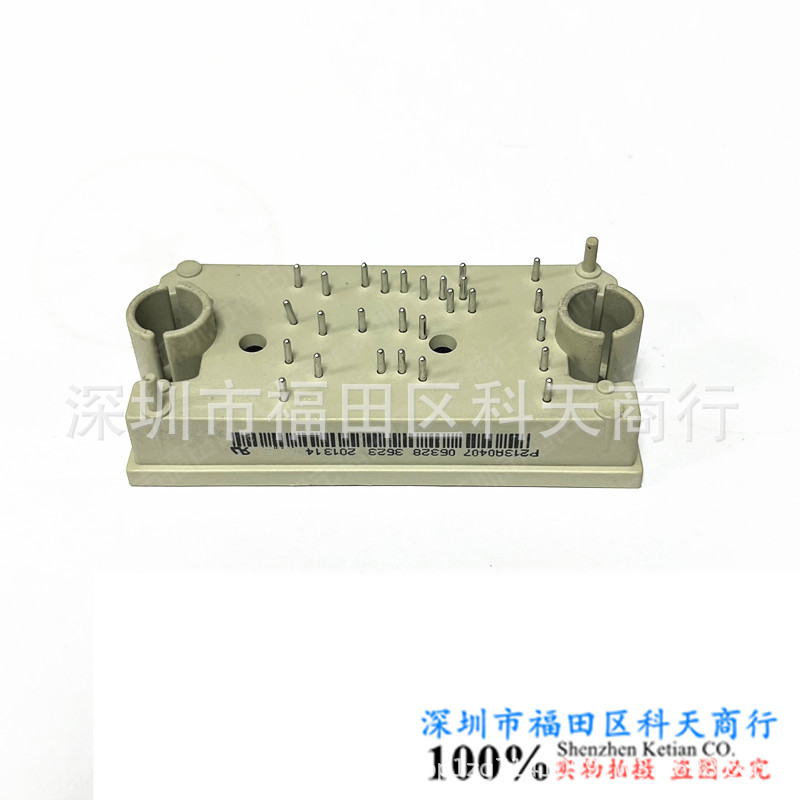 全新 P213A0407 现货 模块 MODULE 需要了解详情可以进店咨询