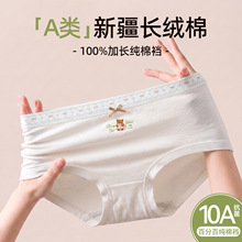奶油费尔岛拼接小熊少女内裤a类纯棉10a抗菌加长裆中腰透气三角裤