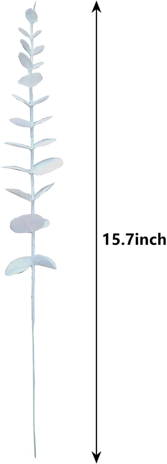 白色单条尤加利5