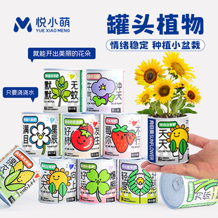 �W�t�k���ҾGֲ������^ֲ�����\�����տ��N�Ӄ�ͯ�Nֲ����С����