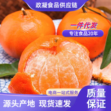 �V�����Q�ָ� ���l3/9������������֭�����ָ����rˮ����ï�ȸ�