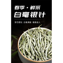 白茶福建白毫银针23明前头采新茶高山荒野白豪银针罐装厂一件批发