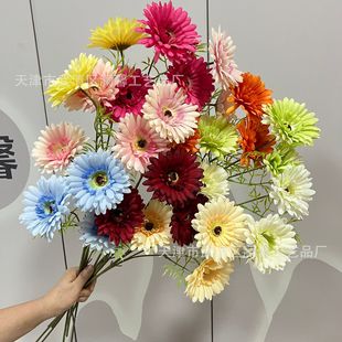 3�^���ʾշ��滨��֦���޾ռҾ��b�Ī�λ��@�ٻ��ֹ�diy����