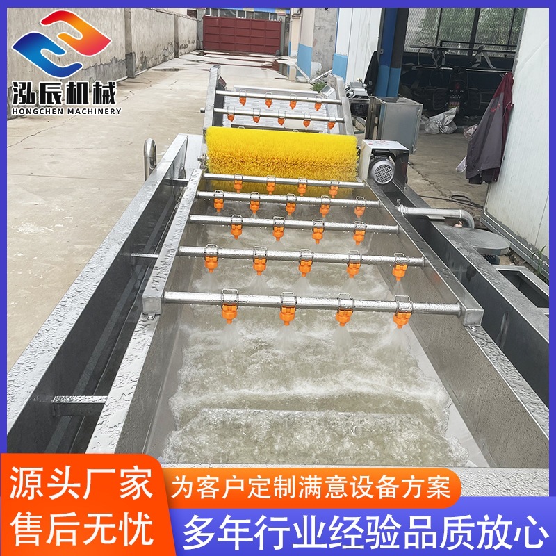 全自动果蔬清洗流水线  娃娃菜果蔬清洗机 山楂净菜清洗流水线