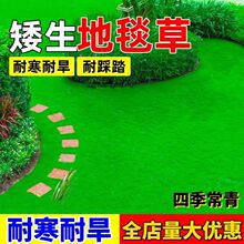 �M�ڵ�̺�ݷN�Ѳ�ƺ�����ļ����ఫ���G����ƺ�N�ӸߙnͥԺ��Ƥ�N