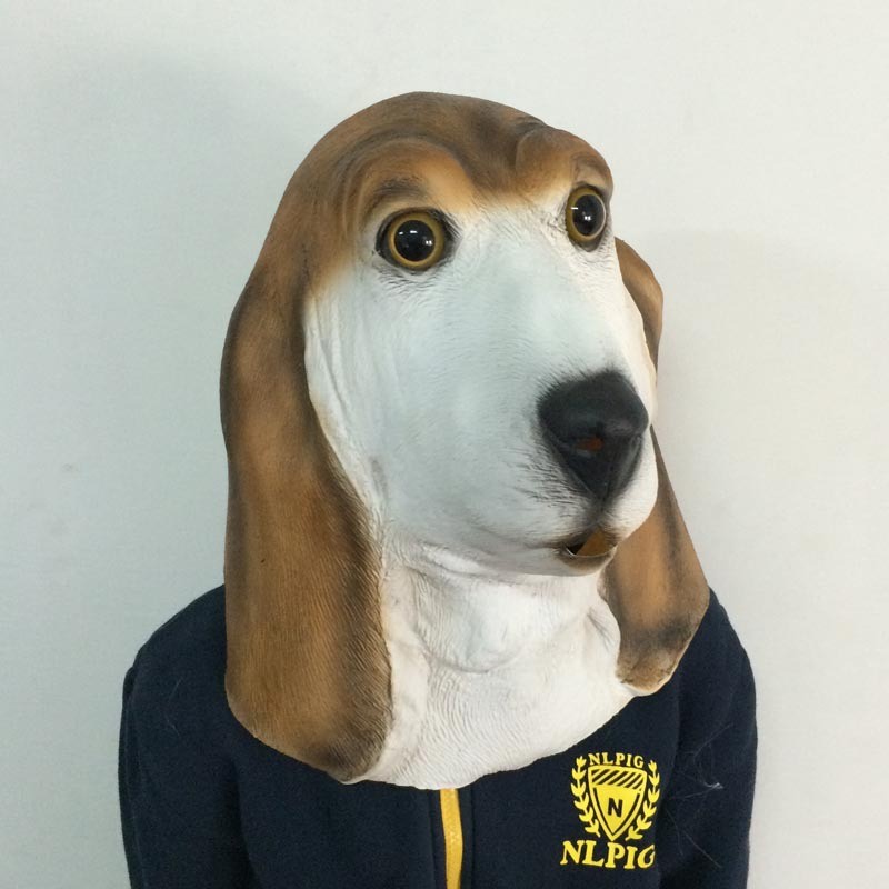 2627572874_2081277280