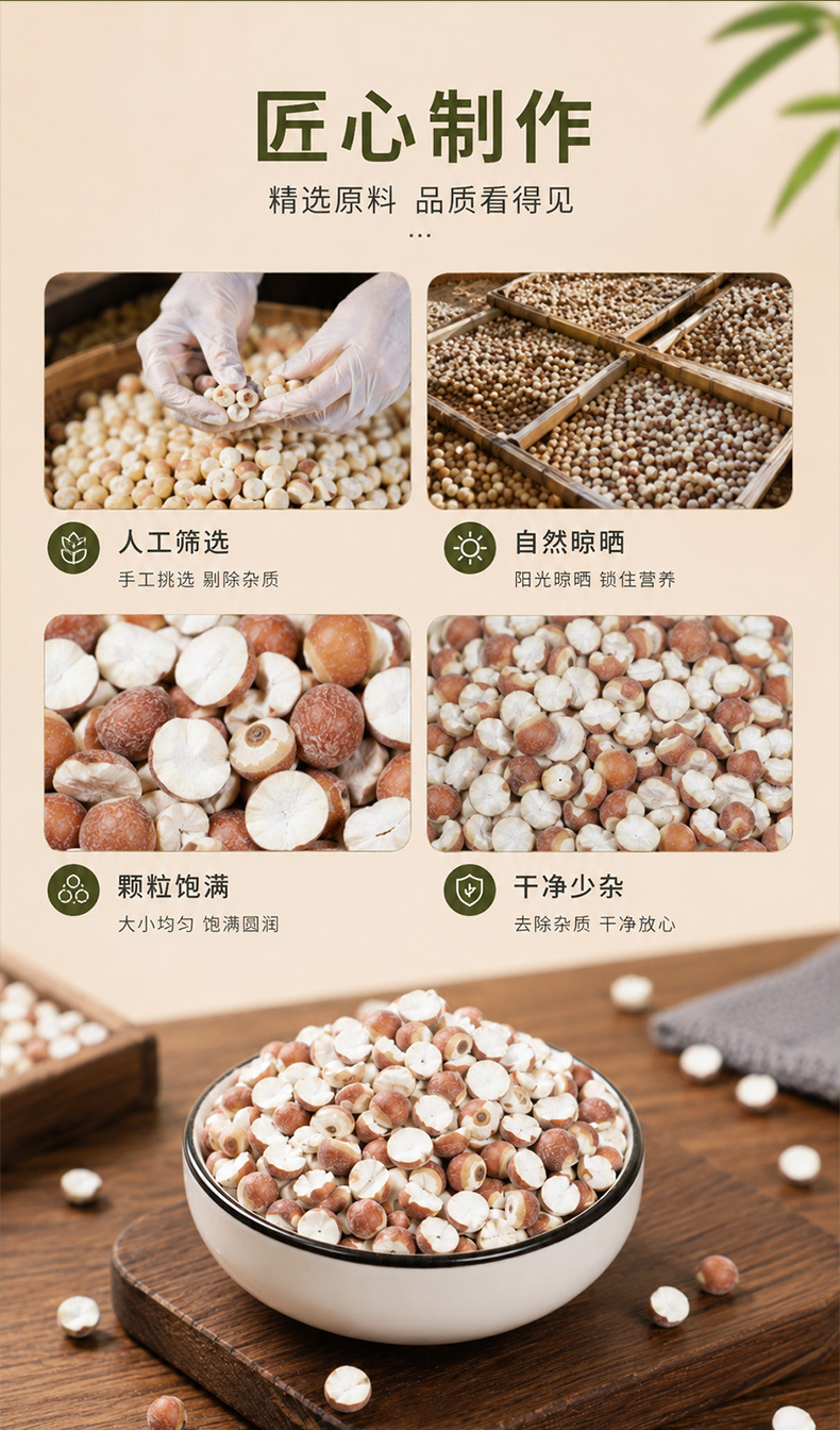 Organic Dried Gorgon Fruit Qian Shi 9mm Large Granules 500g Premium Red Skin Euryale Seeds key features