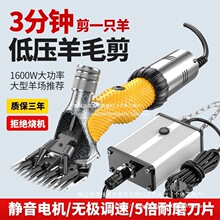 �͉���ë����ˢ�oˢ��ë�������{��늄���ë��������ë����������