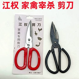 家用剪刀;不锈钢厨用刀;修枝剪