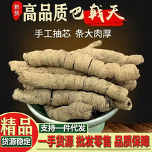 精品巴戟天 广东巴戟天肉苁蓉锁阳中药材正品男人泡酒料泡茶煲烫