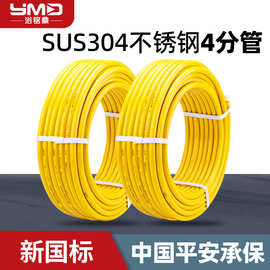 4分304不锈钢燃气管煤气管天然气管可埋式加厚波纹管软管厂家批发