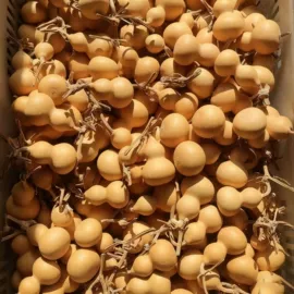 葫芦器;漆器工艺品