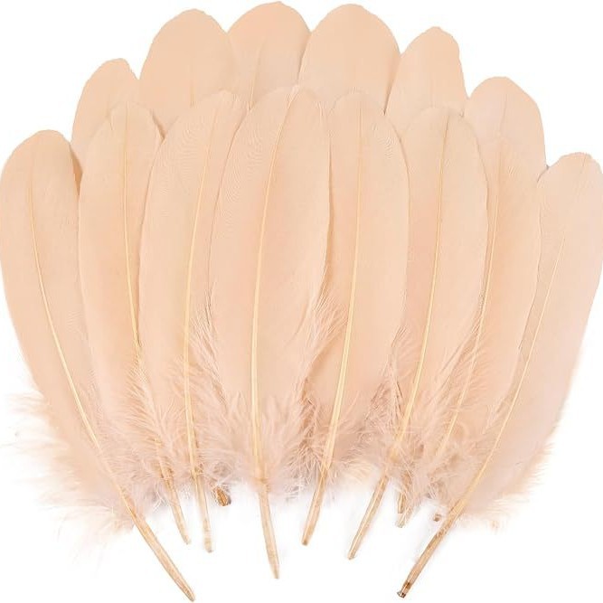Fabricantes lotes plumas de ganso blanco natural plumas DIY artesanías accesorios de ropa de boda accesorios de decoración artesanal image 5