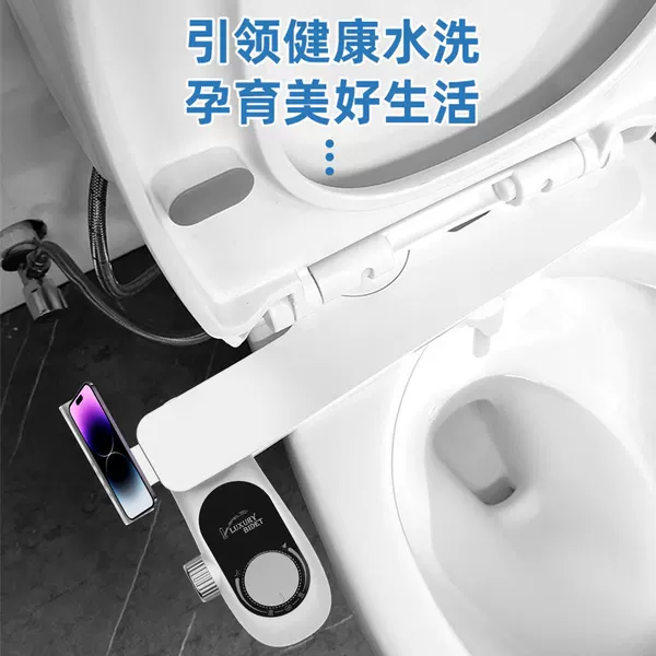 Cross-border hot-selling body cleaner simple installation no electric washing butt filter women's cleaner double nozzle smart toilet cover