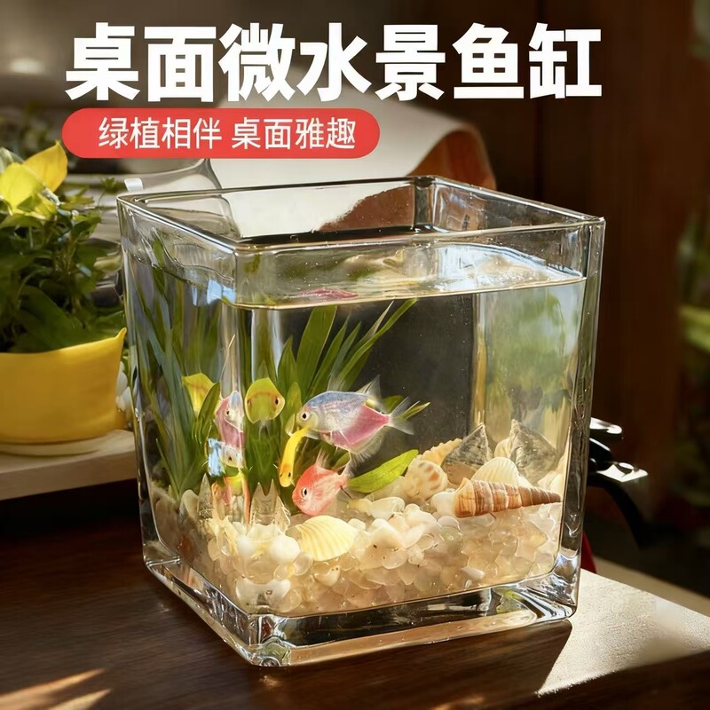 Square Glass Small Fish Tank Ultra-Clear Micro-Landscape Ecological Bottle Small Household Office Desktop Hydroponic Container Square Glass Small Fish Tank Ultra-Clear Micro-Landscape Ecological Bottle Small Household Office Desktop Hydroponic Container