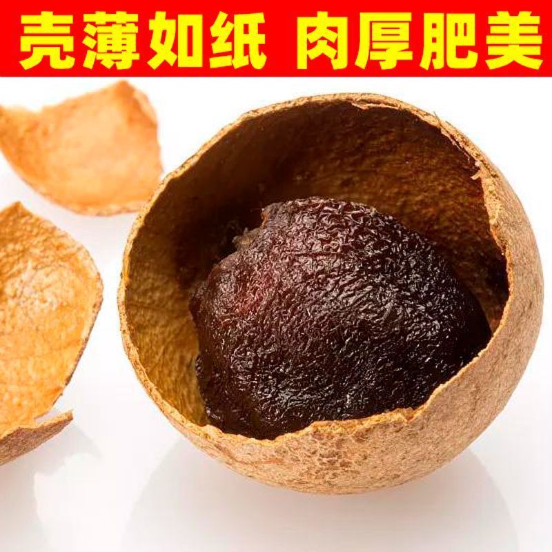 当季精选28A大果福建特产壳薄肉厚龙眼干精选正宗莆田桂圆龙眼干|undefined