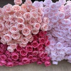 シミュレーション花3頭のオースティンバラの花の家の柔らかい装飾の花の結婚式の結婚式の装飾の月の季節の装飾の花