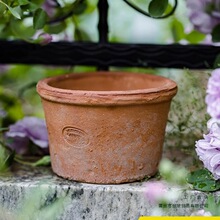 �t�ջ������Gֲ���̖��������͸�����̨��������С�������l